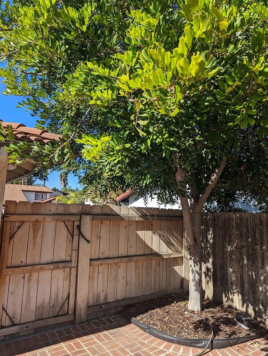 1725 Coyote Ct photo 2