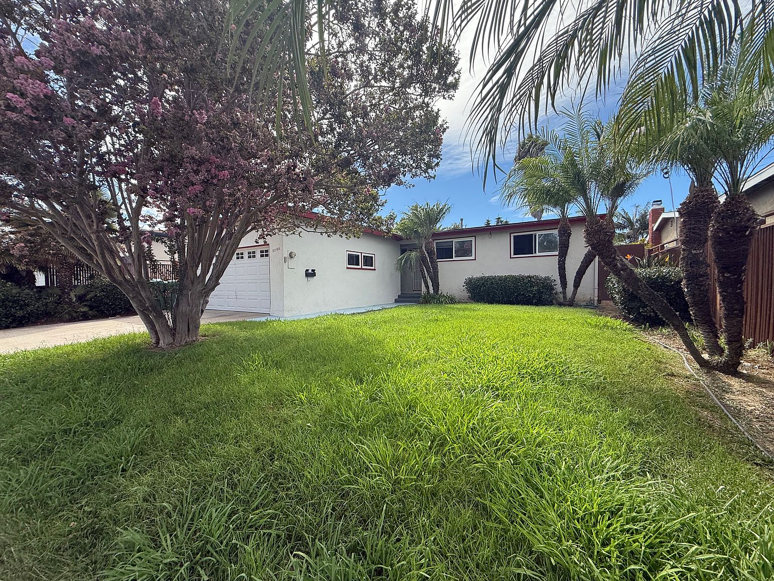 3780 Belford St photo 3