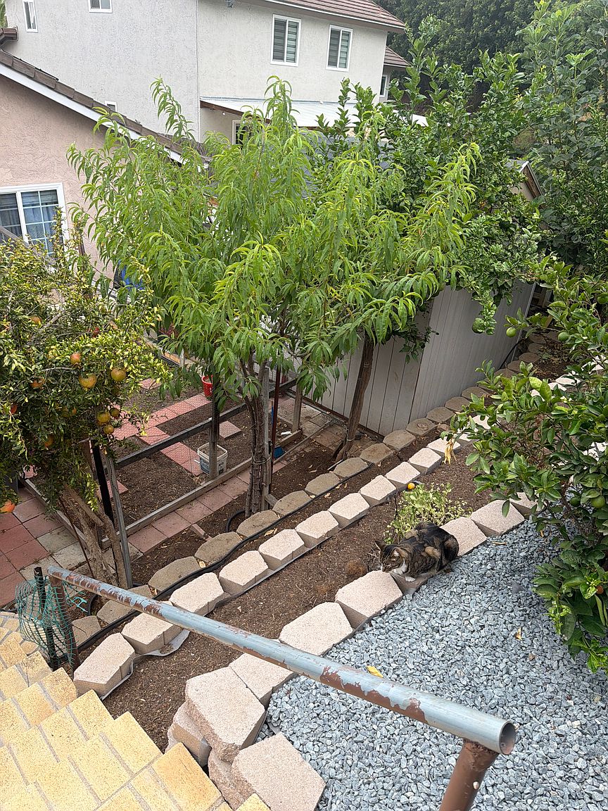 10526 Pine Grove St photo 4
