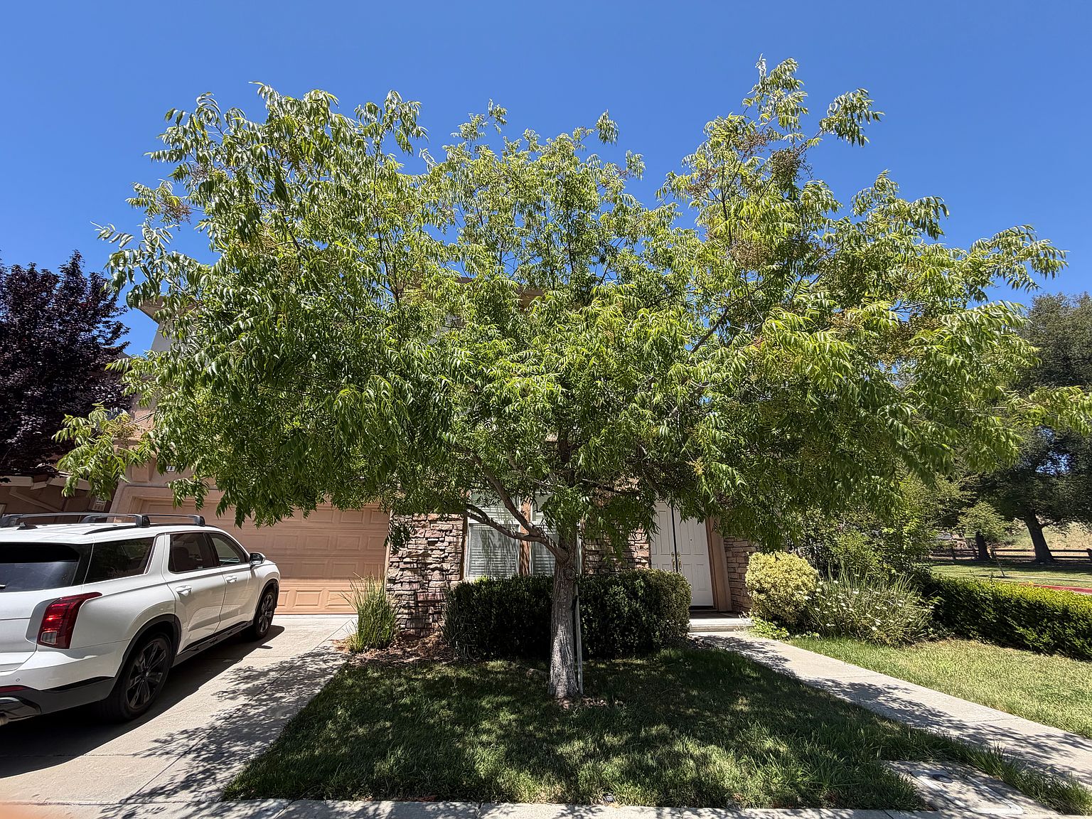 5678 Bellevue Cir photo 5