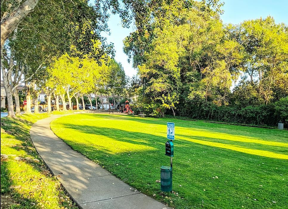 205 Accolade Dr photo 5