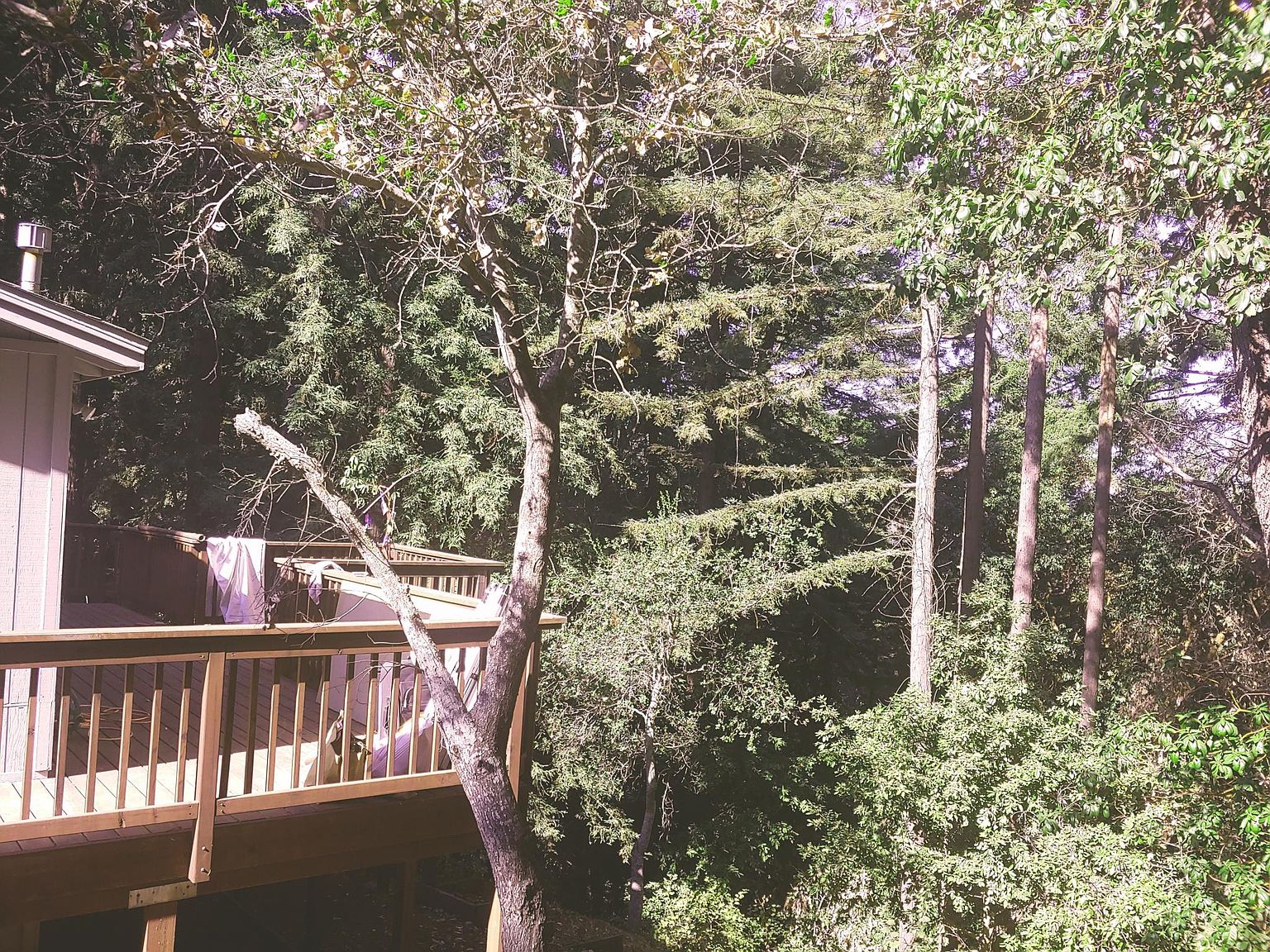 1780 Weston Ridge Rd photo 2