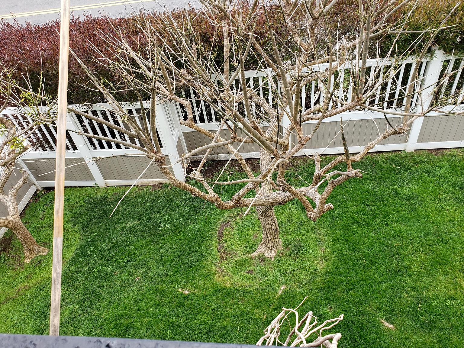 1641 Sunset Cliffs Blvd photo 5