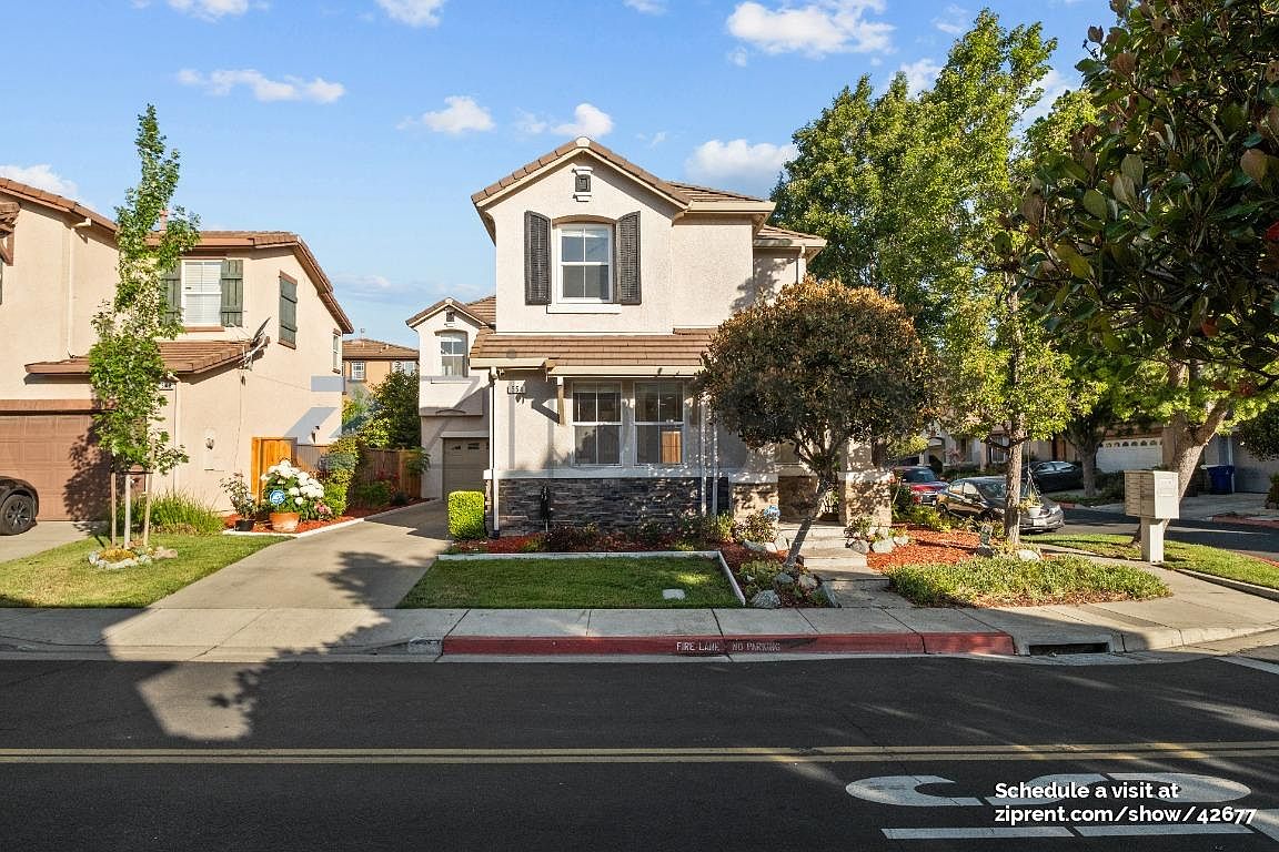 554 Blue Cypress Way photo 2