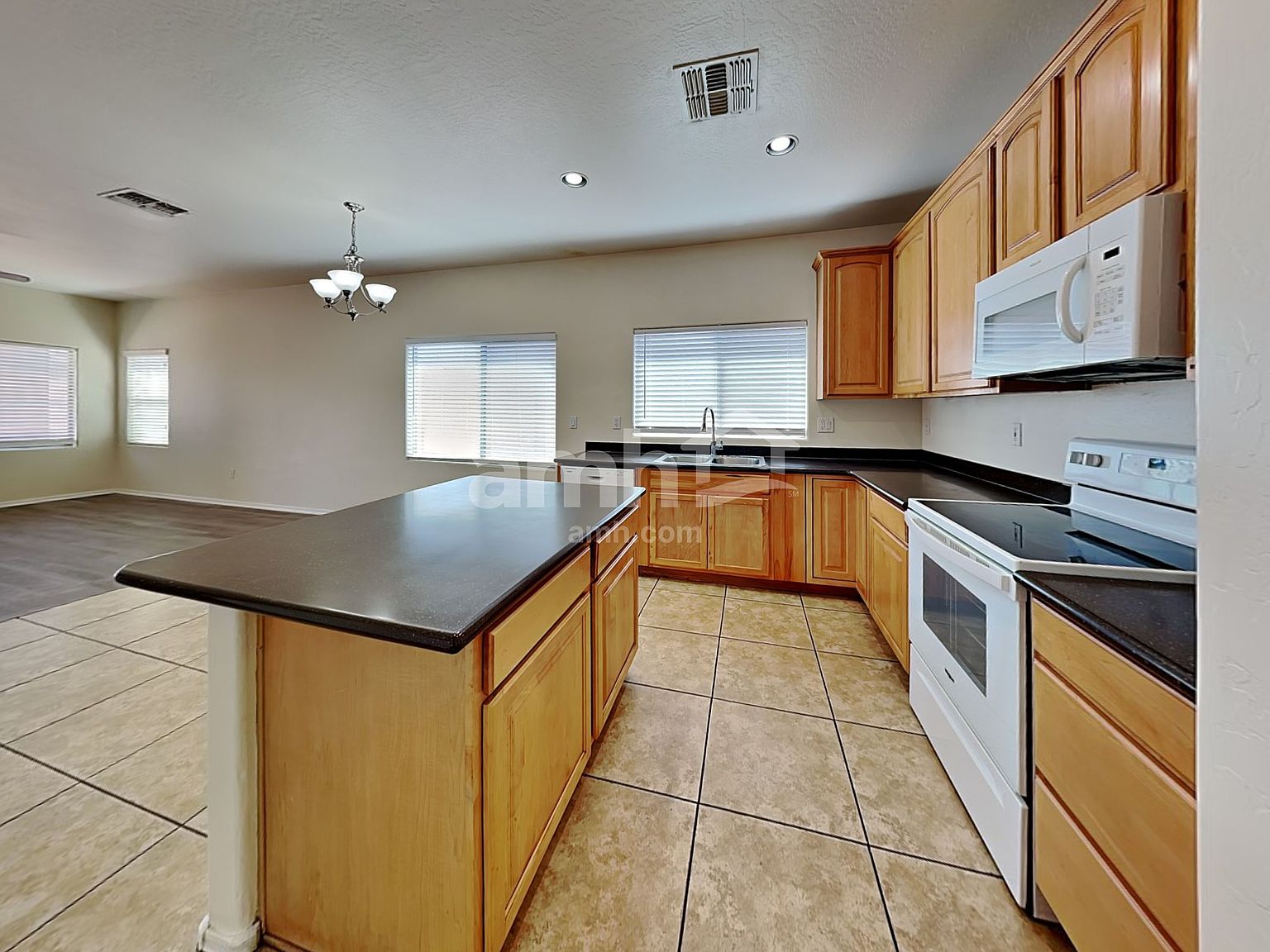 16209 W Gelding Dr photo 3