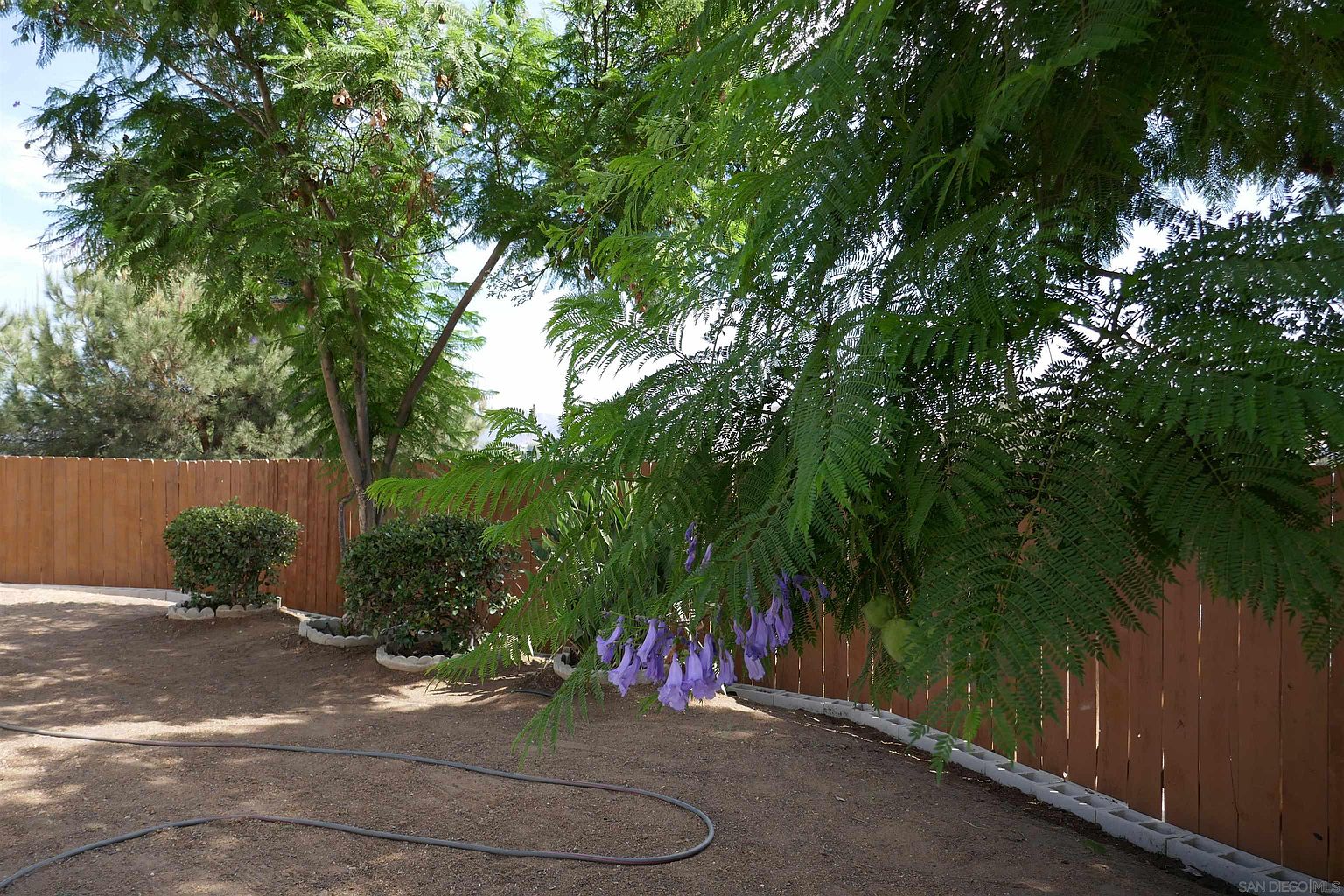 11874 Gardena Ln photo 3