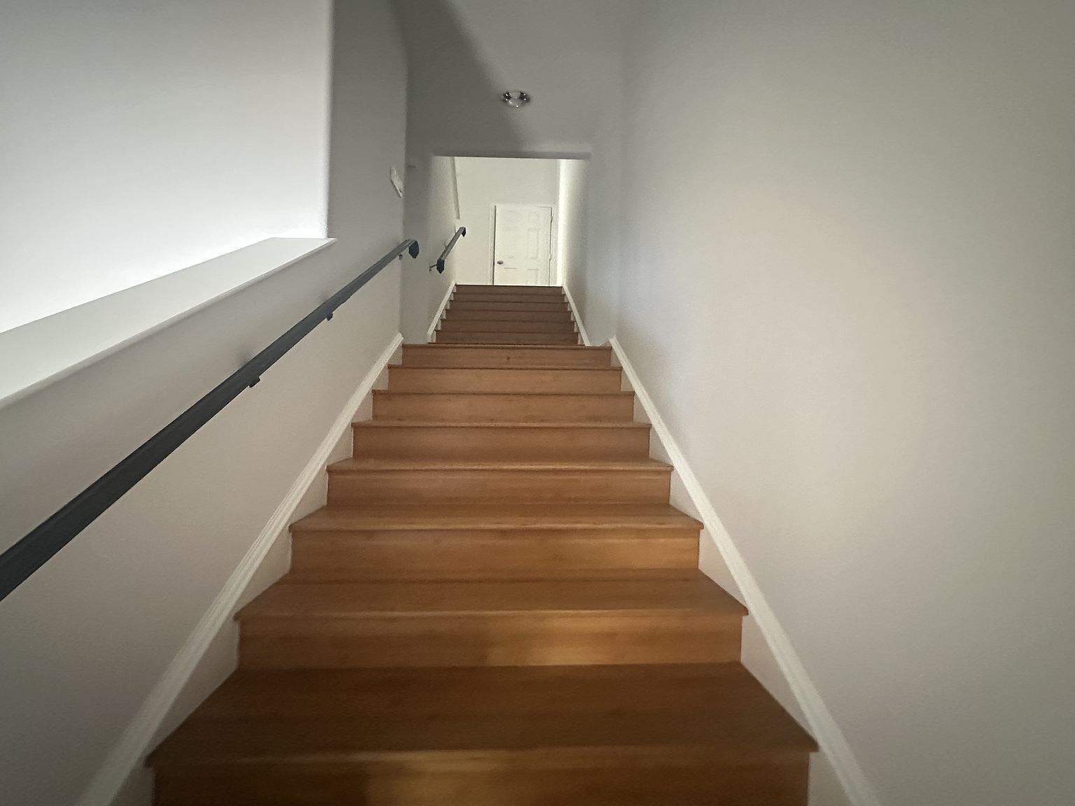 829 Donohoe St photo 5
