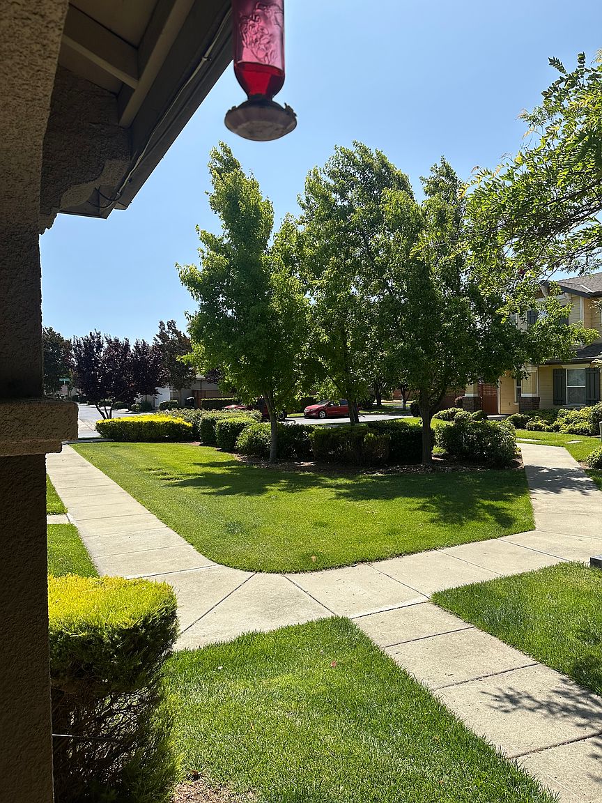 3056 Puffin Cir photo 3