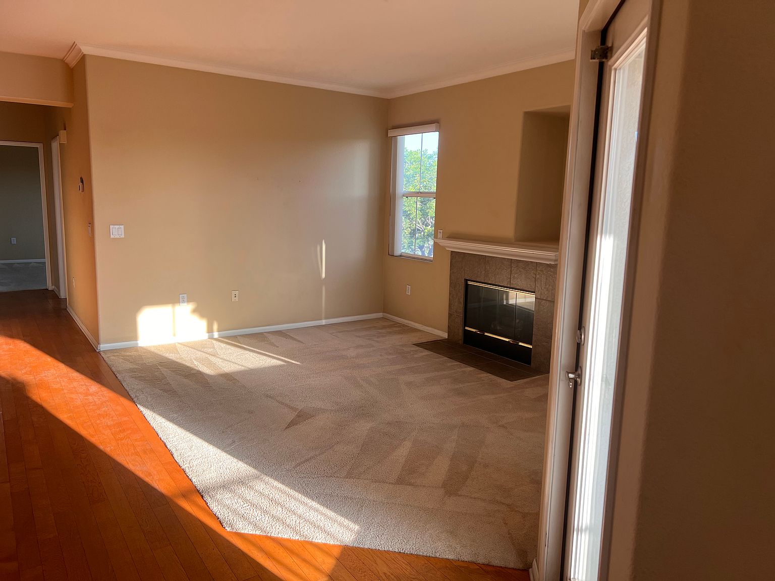10910 Serafina Ln photo 2