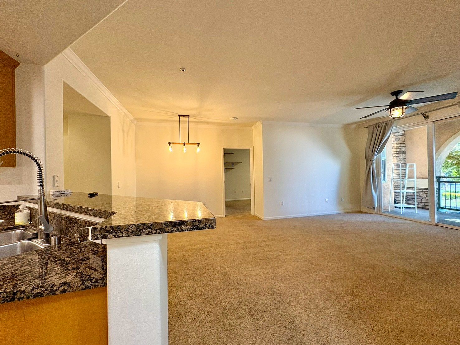 1390 Saddle Rack St photo 5