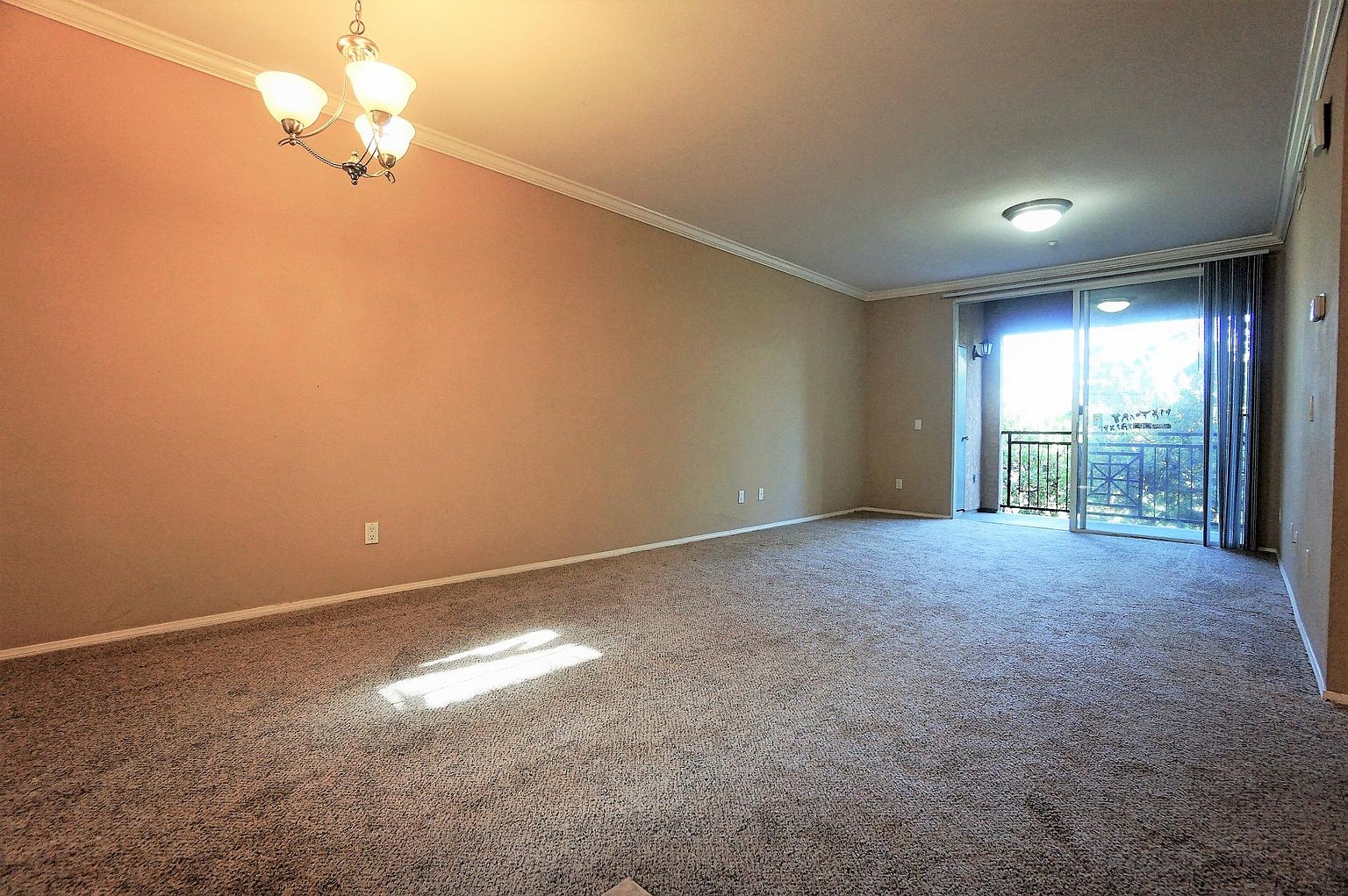 3825 Elijah Ct photo 4