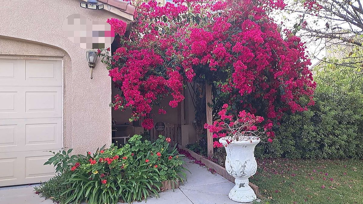 36420 Cougar Pl photo 5