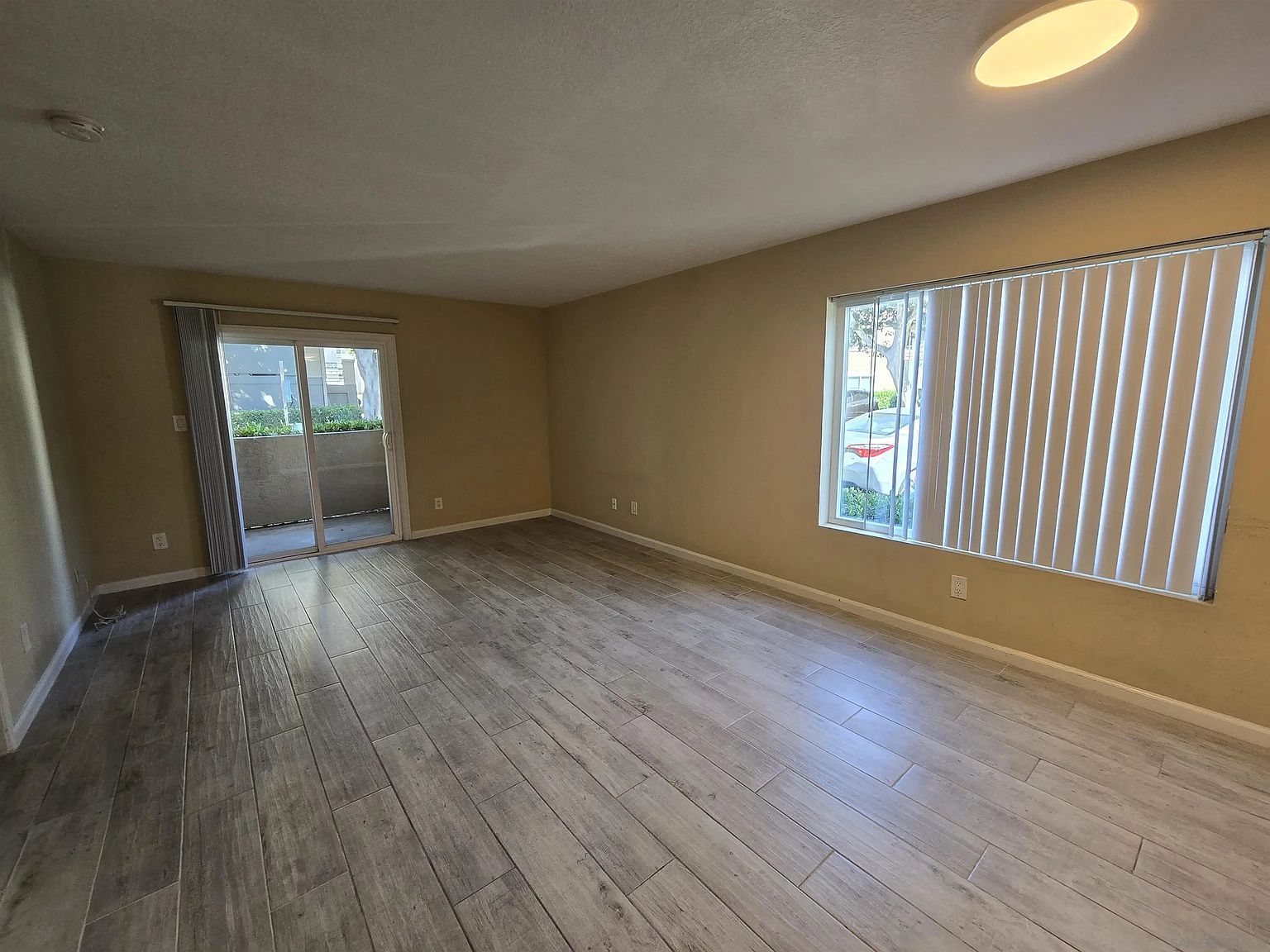 7425 Charmant Dr photo 4