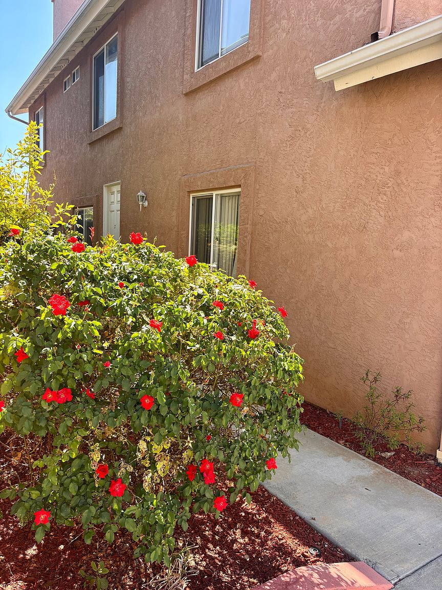Fully Renovated And Move-in Ready photo 4