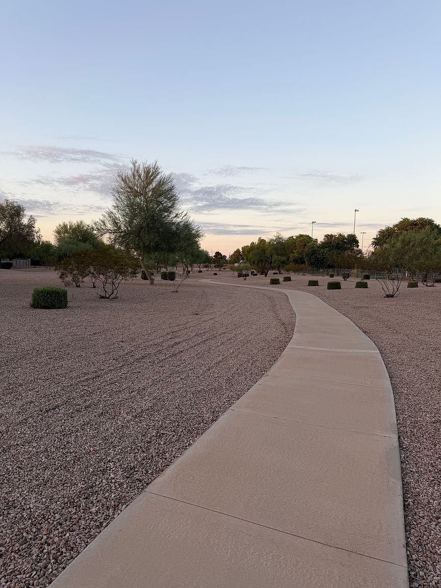 31104 N Desert Honeysuckle Dr photo 3