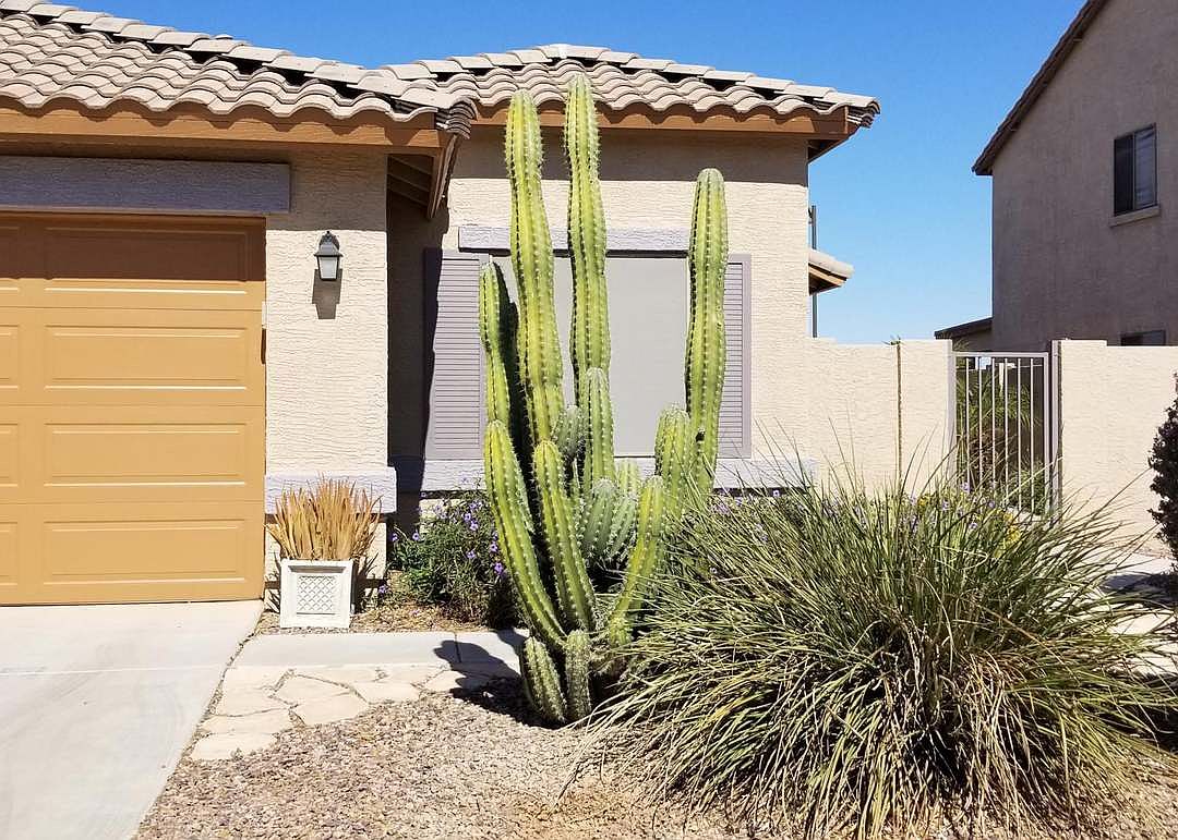 44210 W Lindgren Dr photo 2