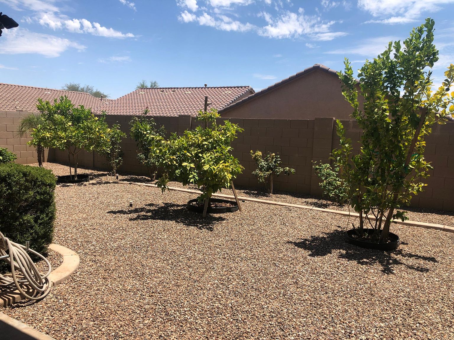 2573 W Brilliant Sky Dr photo 2