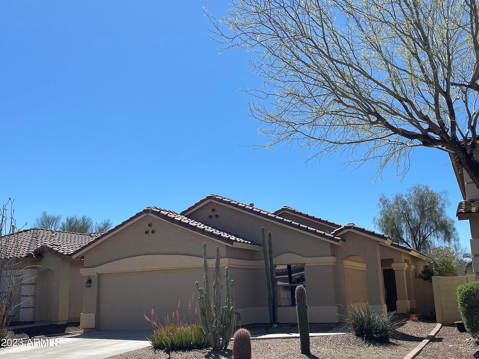 2557 W Brilliant Sky Dr photo 3