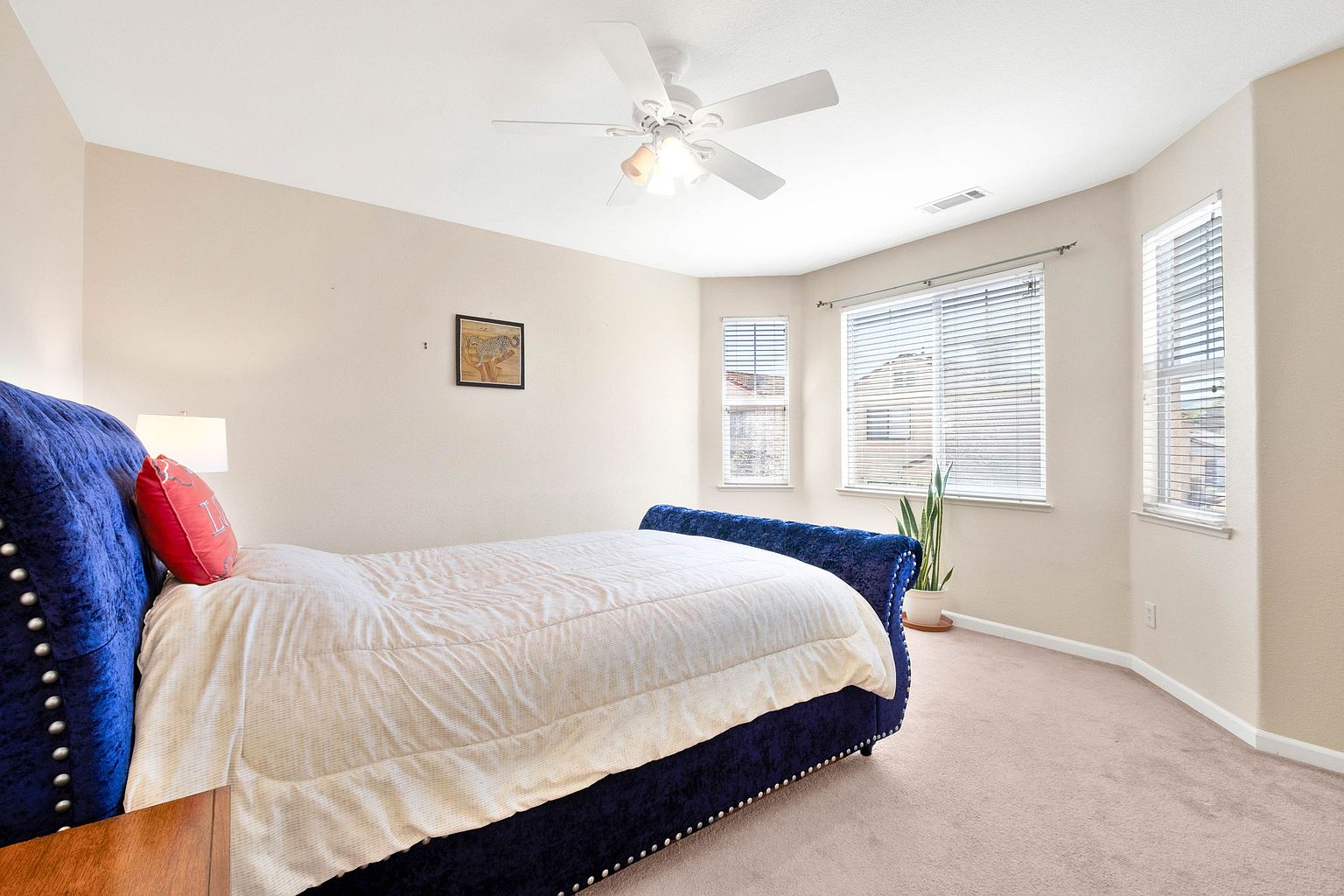 355 Foxglove St photo 4