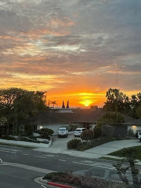 504 Avocado Ave photo 4
