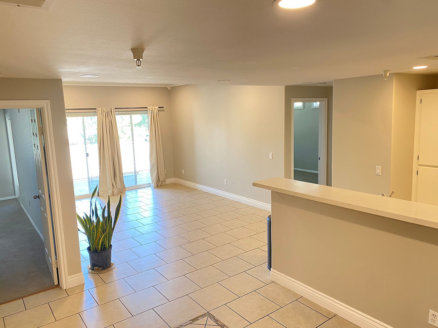 31342 Taylor Ln photo 4