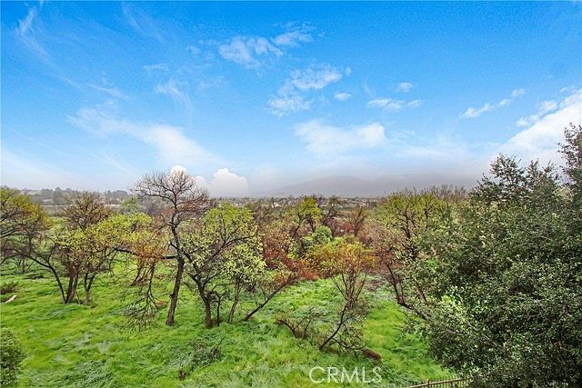 31293 Taylor Ln photo 3