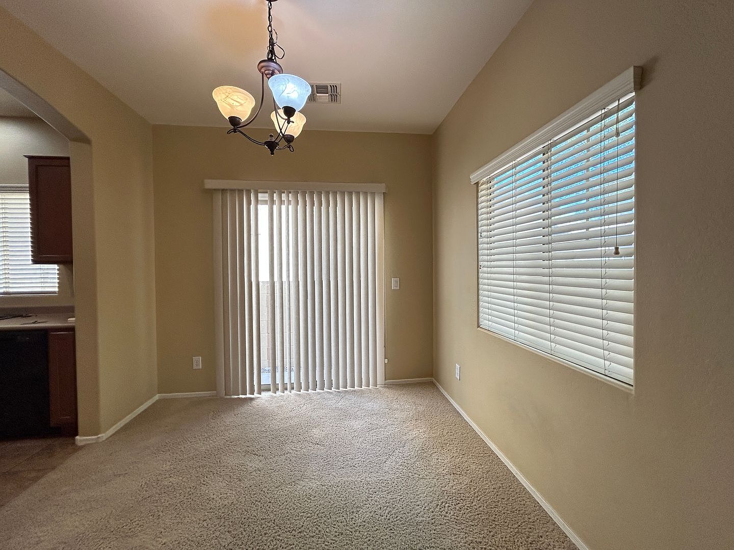 10295 W Via Del Sol Lot 389 photo 4