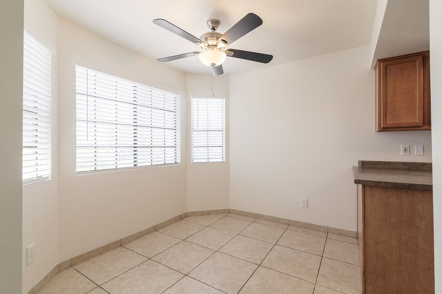 925 S Longmore photo 5