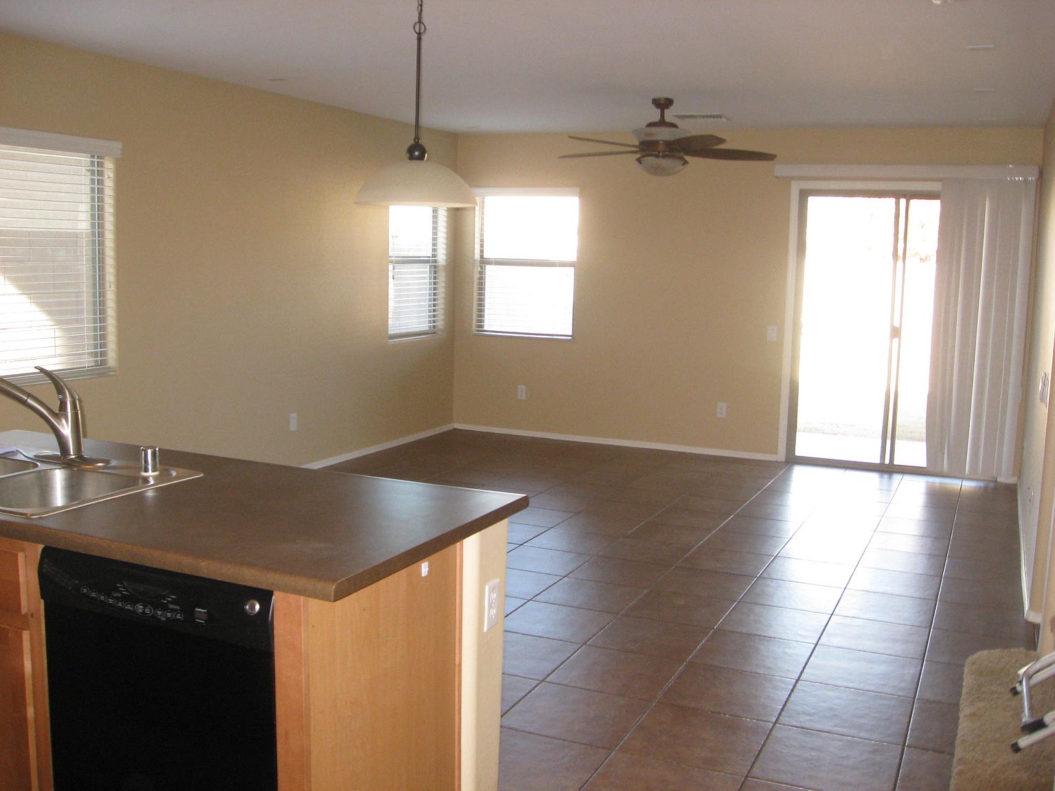 43350 W Elizabeth Ave photo 5