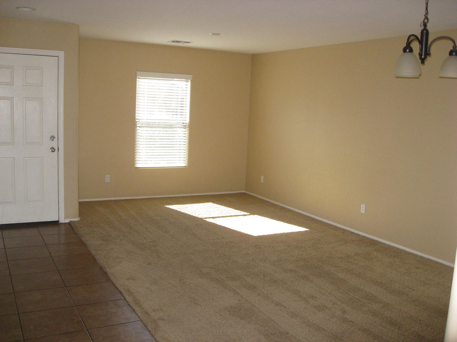 43350 W Elizabeth Ave photo 3