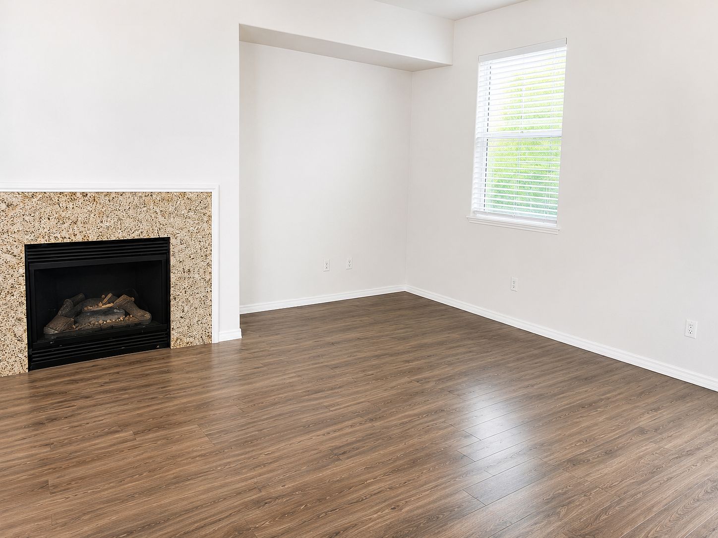 1036 Flowering Ash Dr photo 4