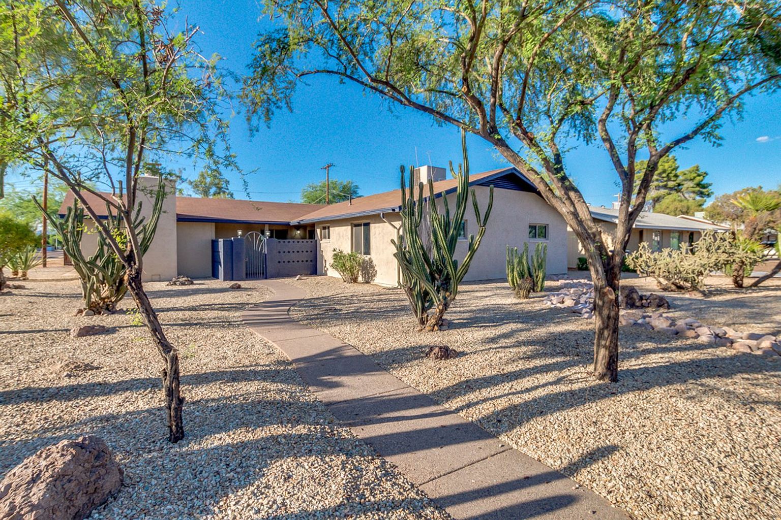 554 W 19th St Tempe, AZ 85281 photo 5