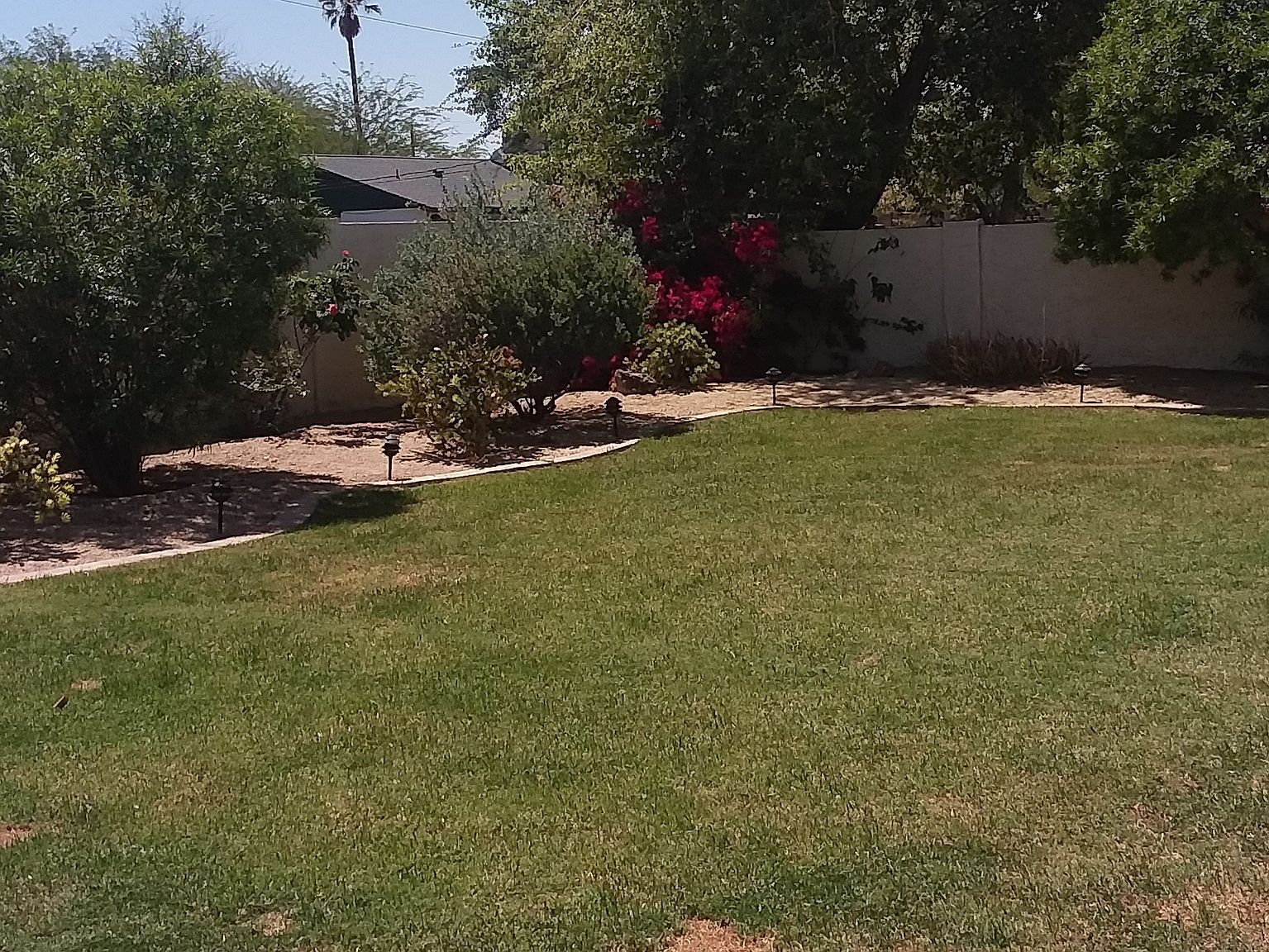 823 W Romo Jones St photo 2