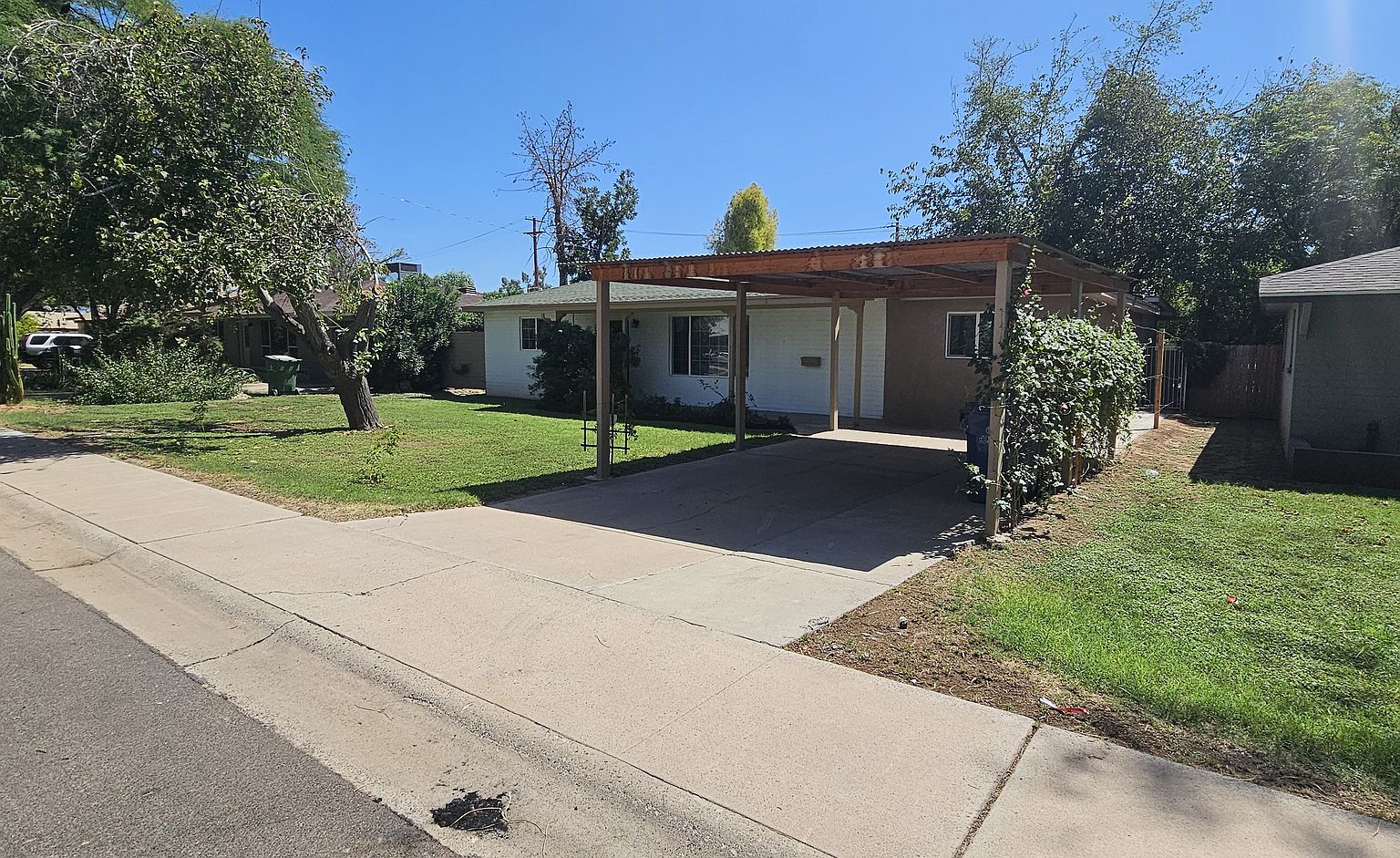 1513 E Cedar St photo 3