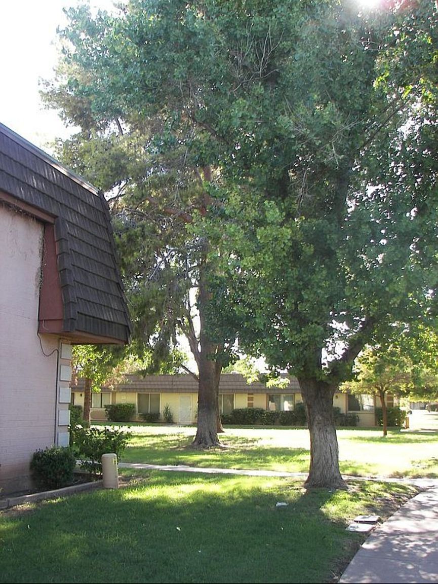 3318 S Juniper St photo 3