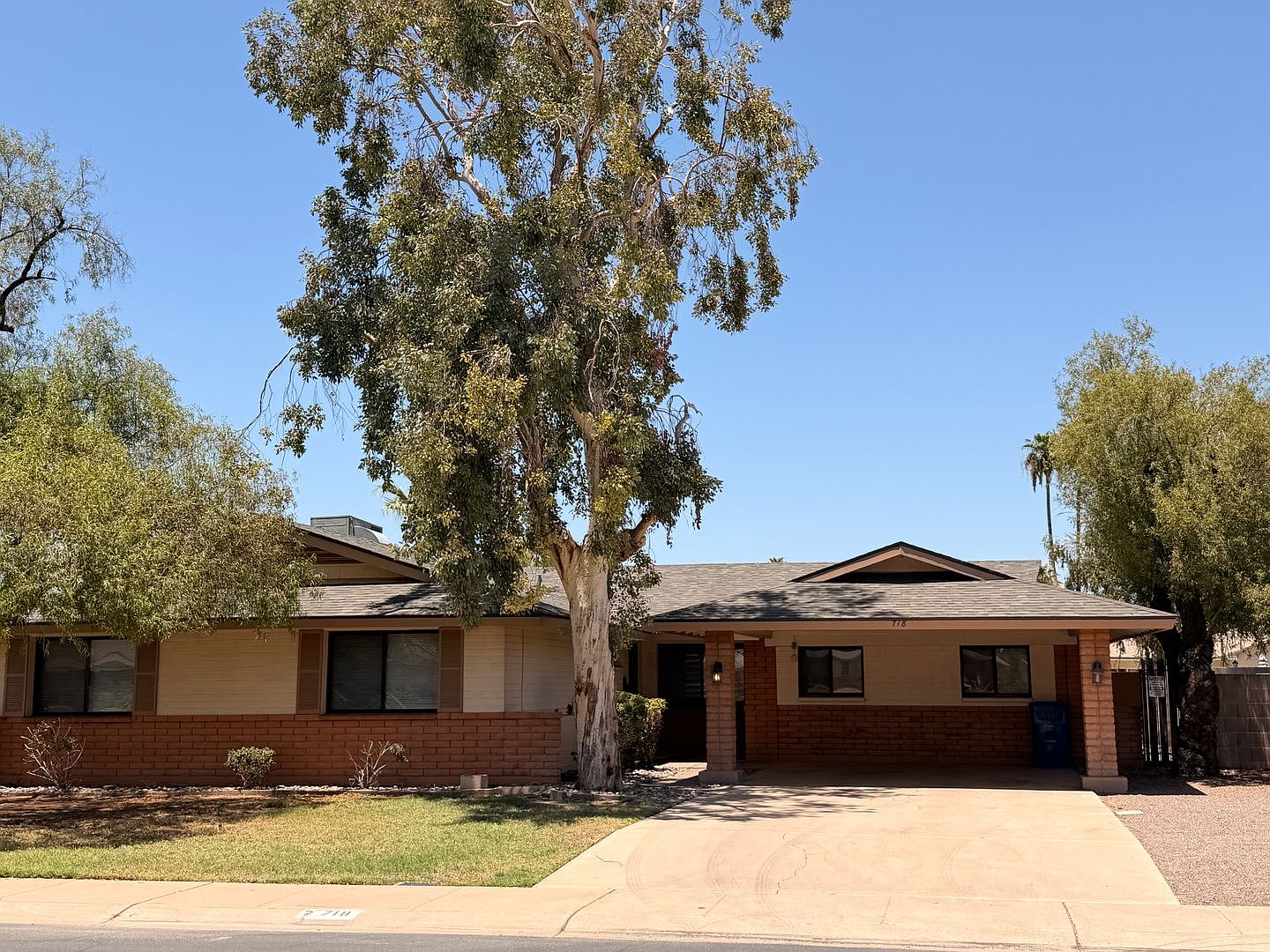 718 E Manhatton Dr Tempe, AZ 85282 photo 3