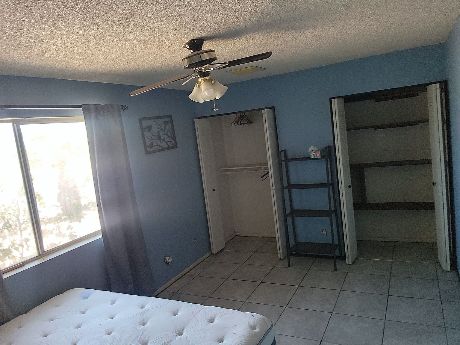 2307 W De Palma Cir photo 3