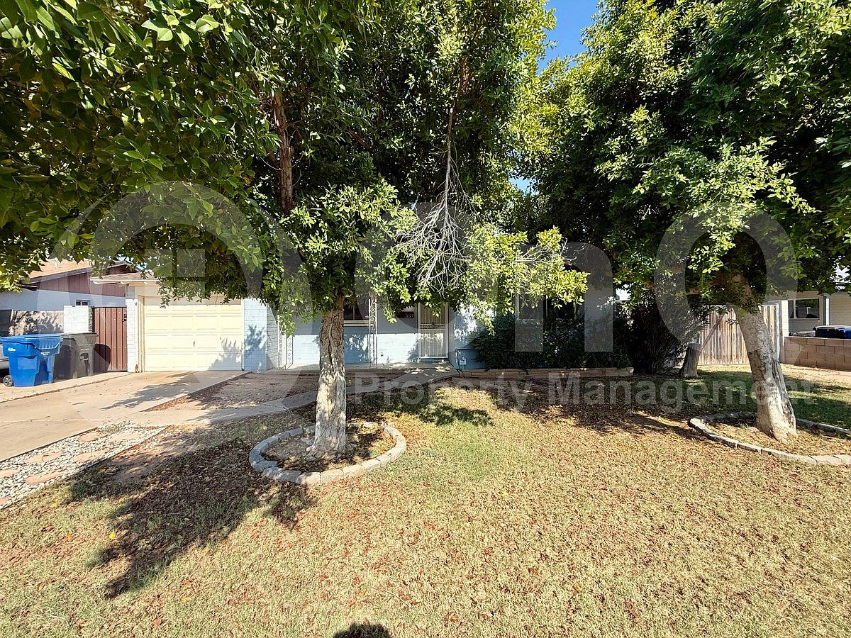 337 N Williams photo 4