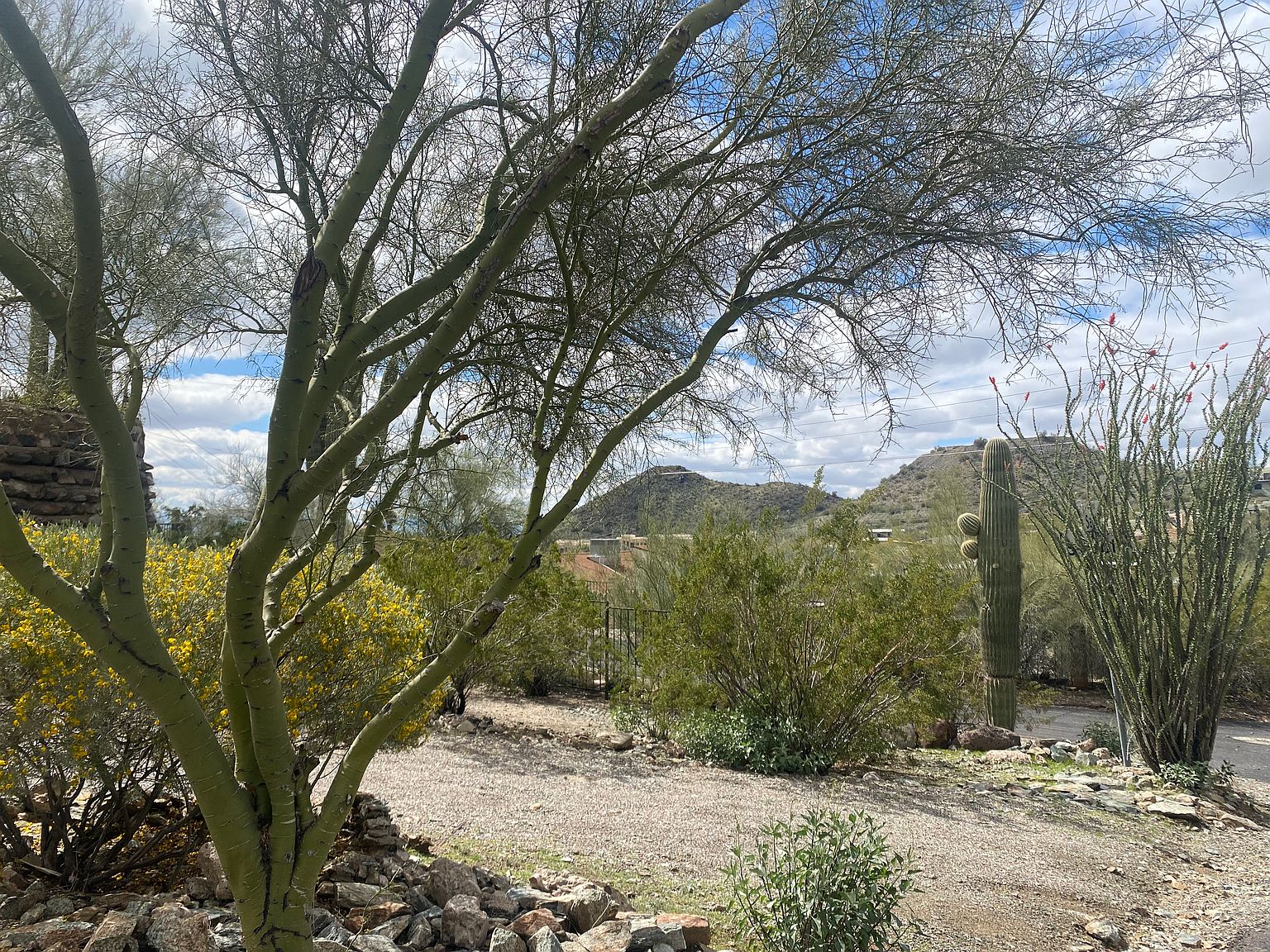 201 E Saddle Ln photo 2