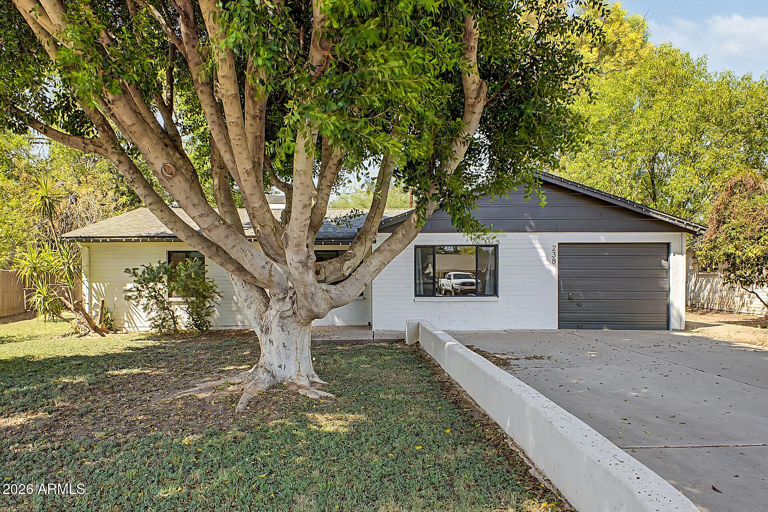 238 W Alice Ave photo 2