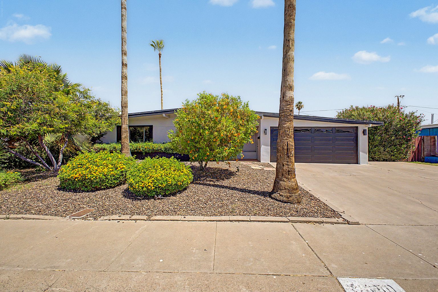 3650 E Poinsettia Dr photo 3