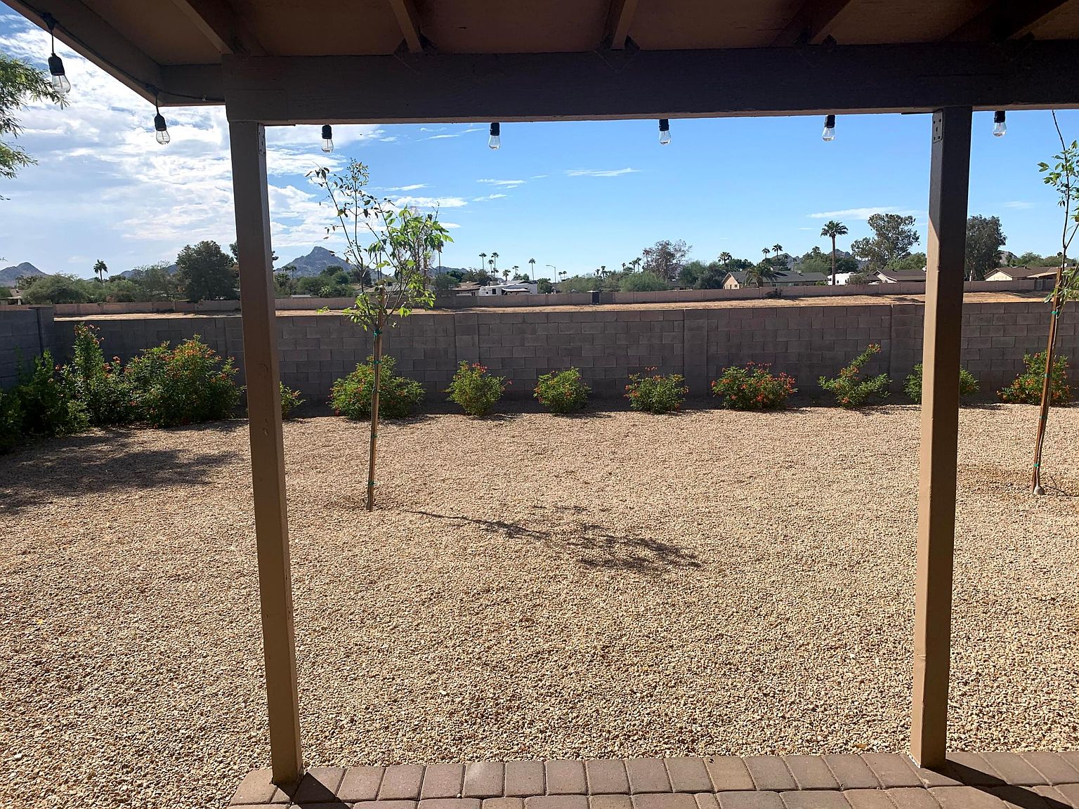 3831 E Larkspur Dr photo 2
