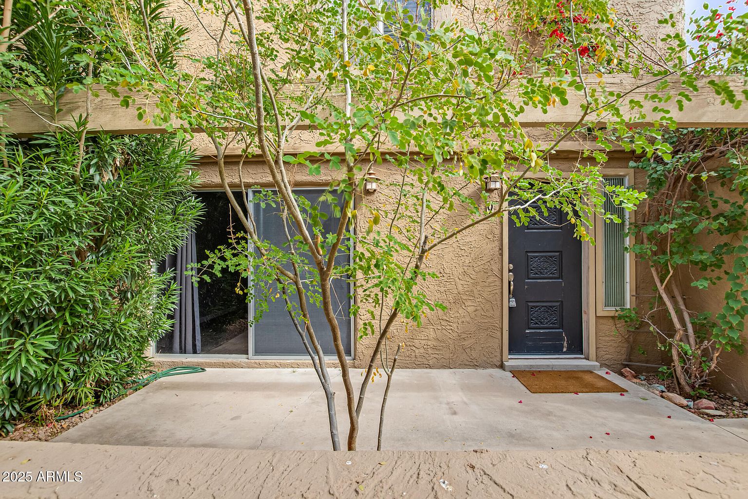4601 N 73rd St Scottsdale, AZ 85251 photo 3