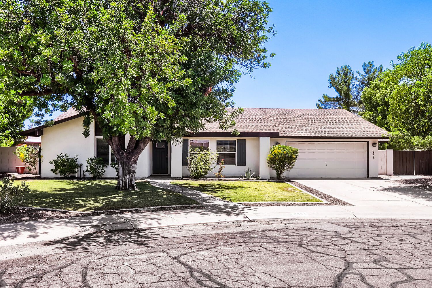 9801 N 74th Pl Scottsdale, AZ 85258 photo 2