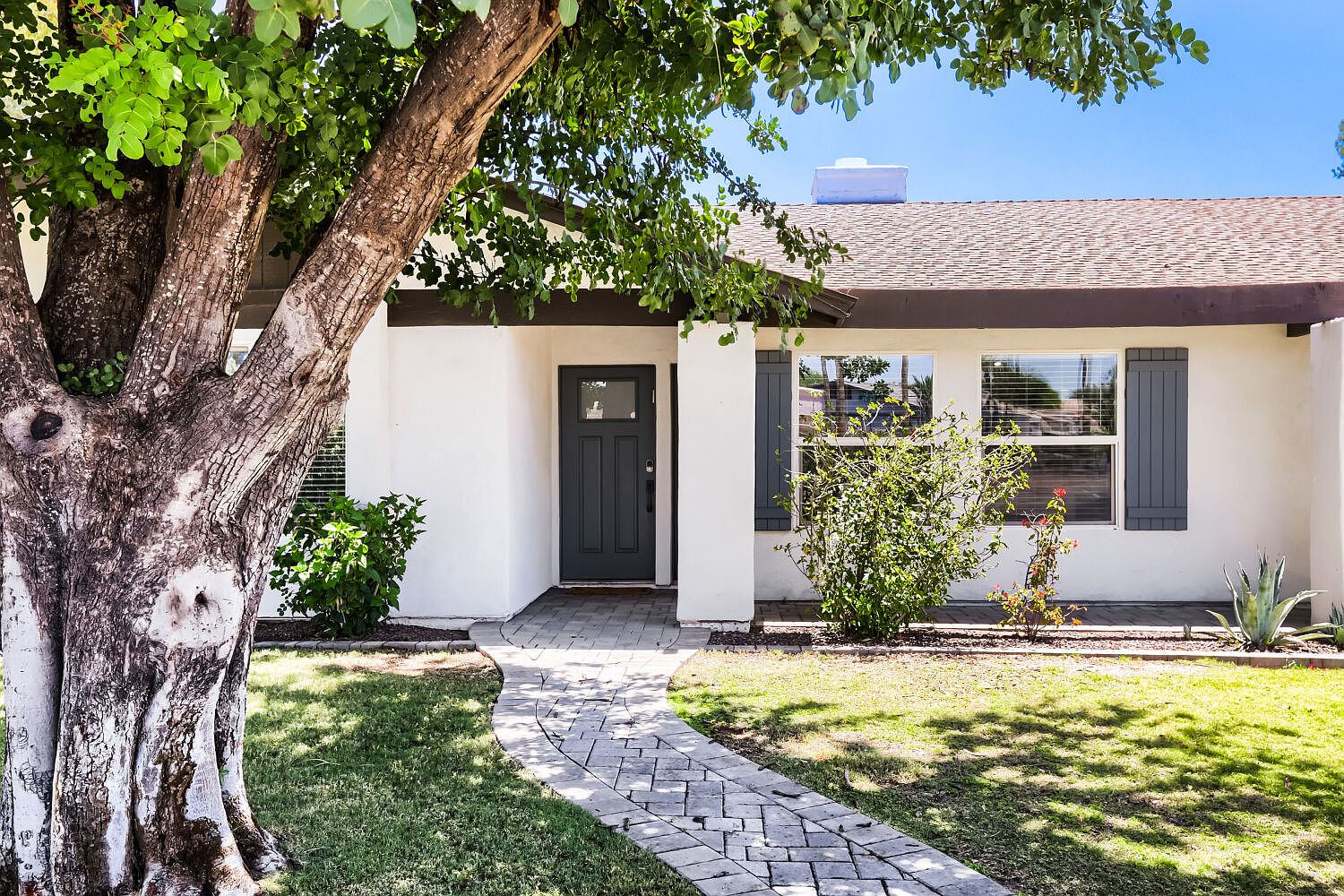 9801 N 74th Pl Scottsdale, AZ 85258 photo 3