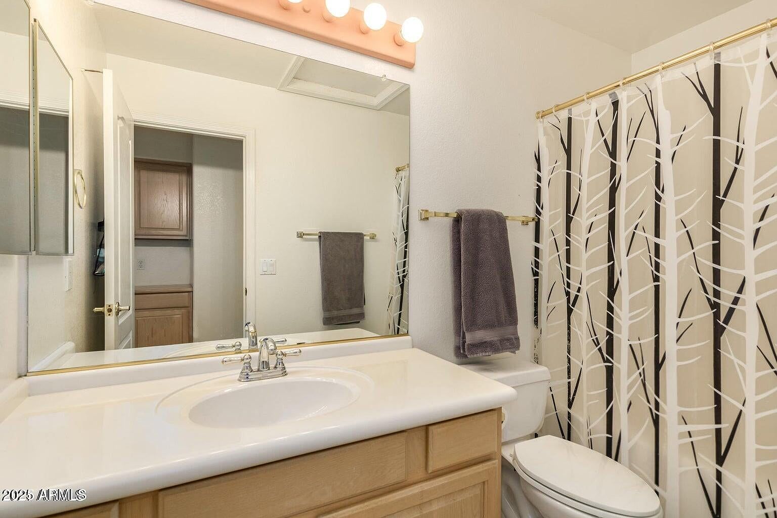 6230 W Irma Ln Glendale, AZ 85308 photo 4