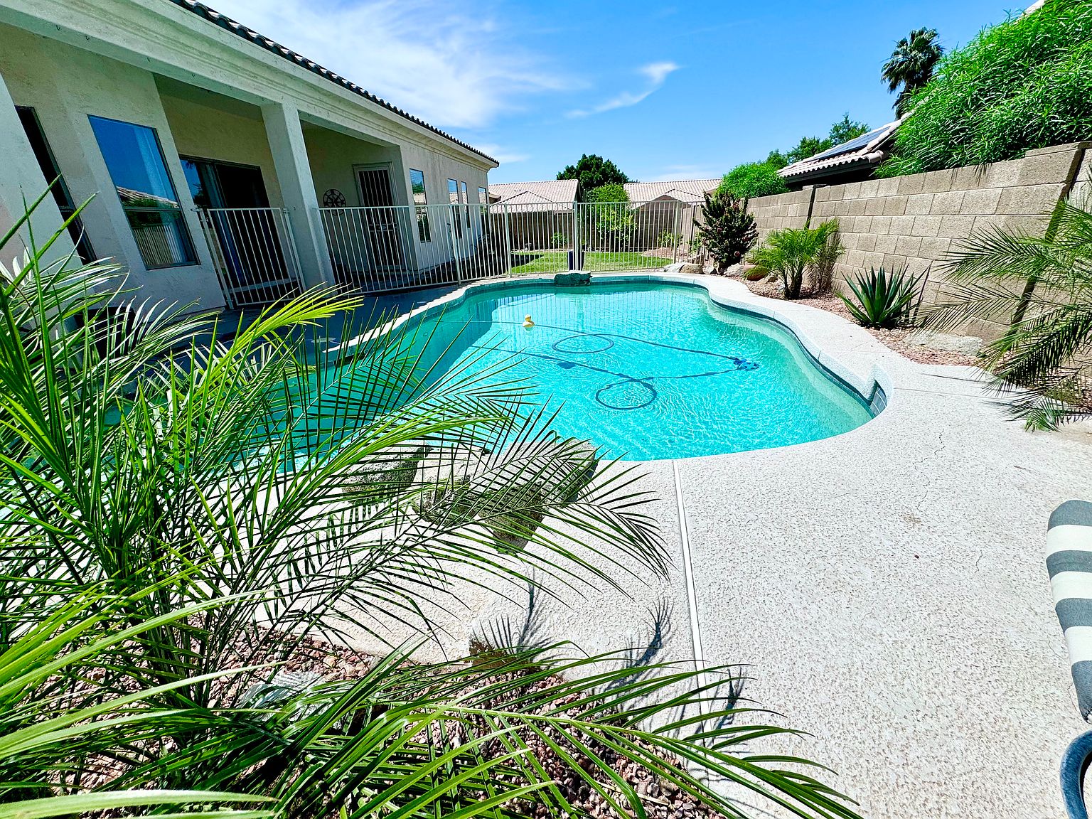 20906 N 56th Dr photo 4