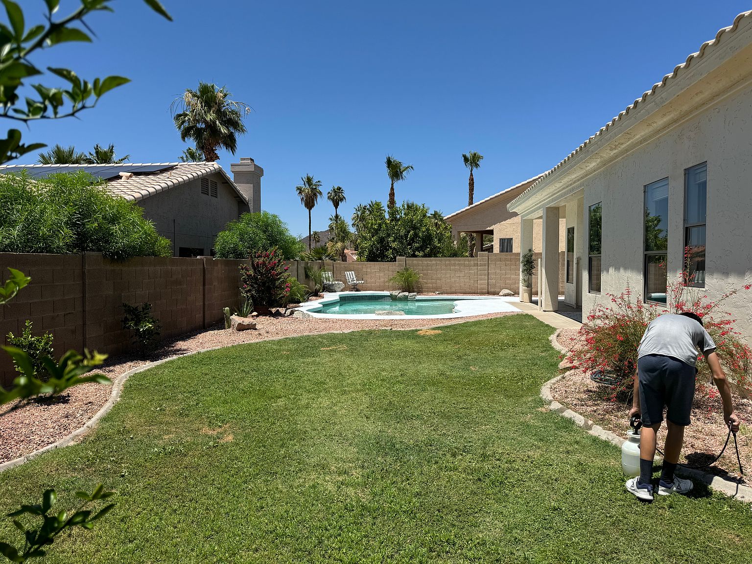 20906 N 56th Dr photo 3