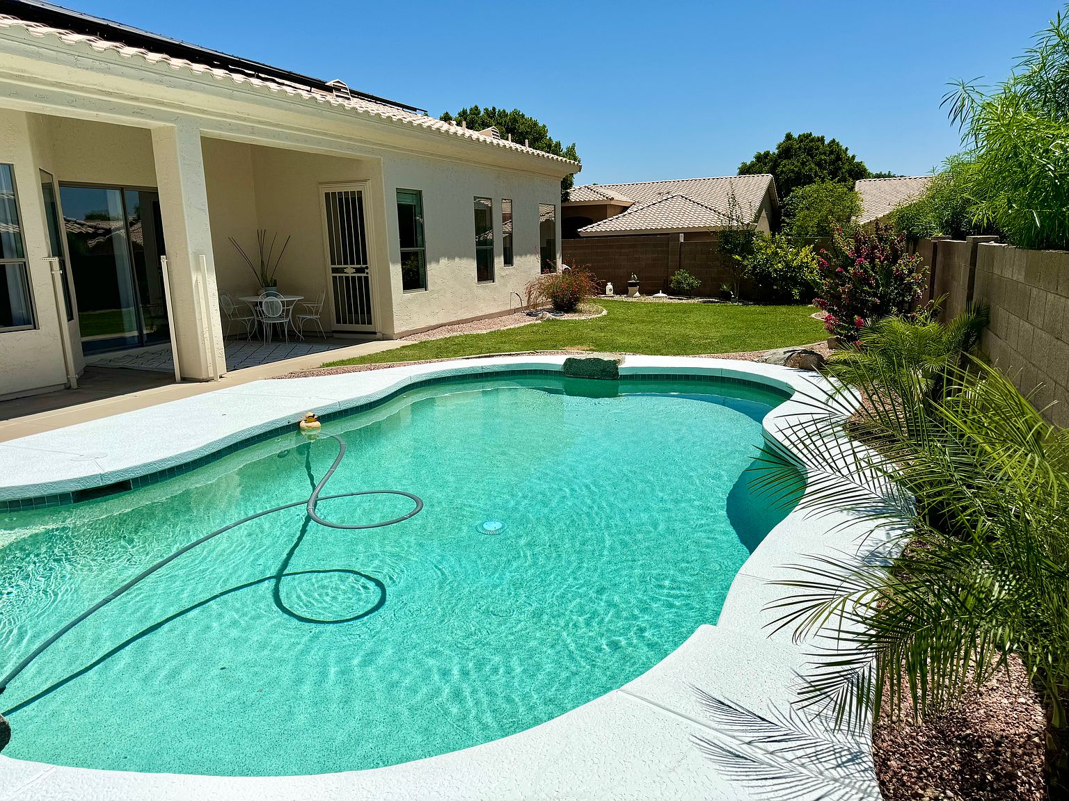 20906 N 56th Dr photo 2