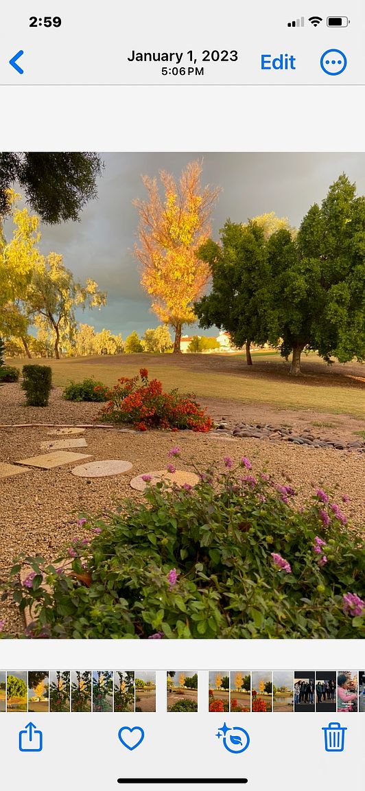 7101 West Beardsley Road, Glendale, AZ 85308 photo 4